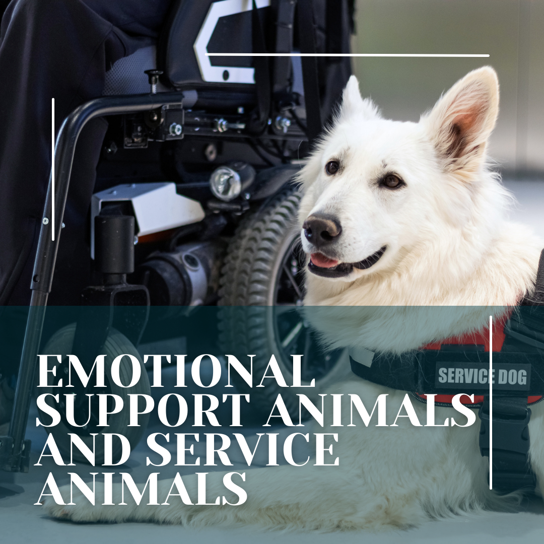 archived-webinars-human-animal-interaction