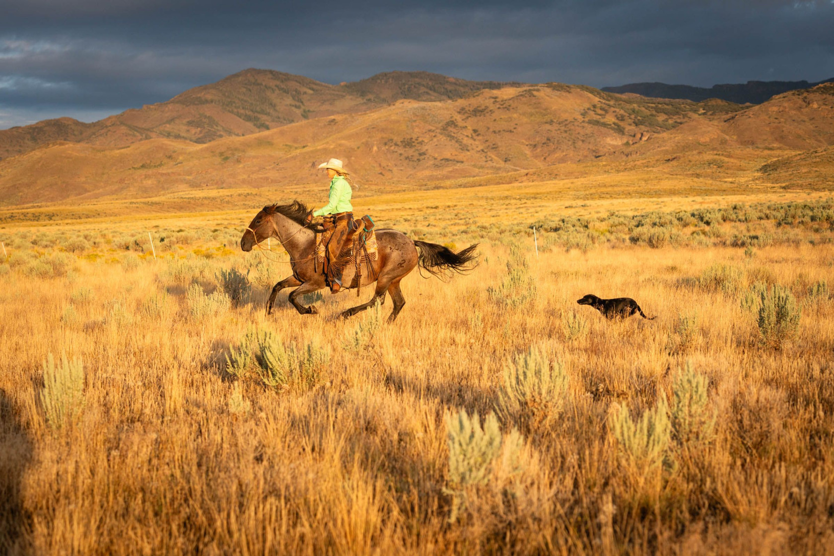 Dr. Allison Broennimann