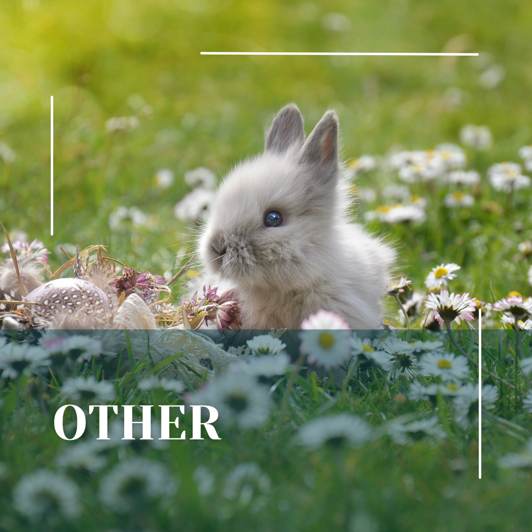 Green Hello Monday Greeting Instagram Post (1)