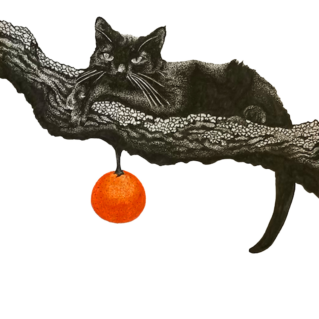 BlackCatWithOrange