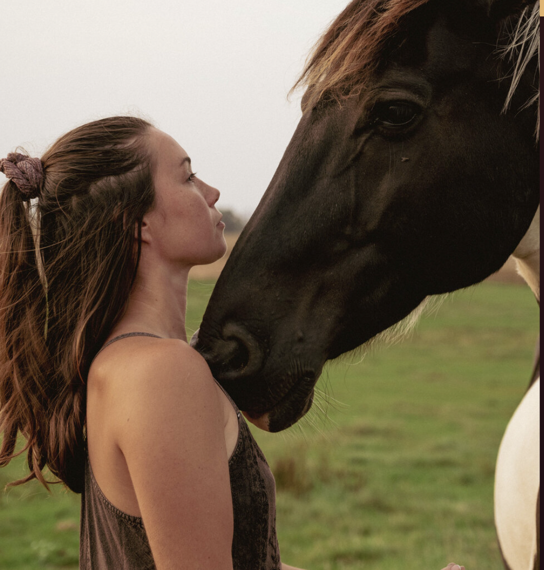 Screen Shot 2025-03-26 at 7.35.09 PM