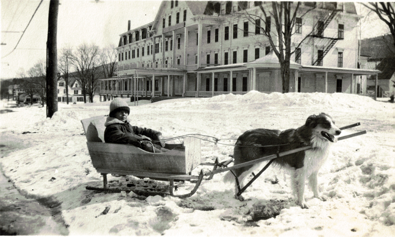 Dog pulling sled with child at the Sinclair HOtel in Bethlehem NH in 1940's 