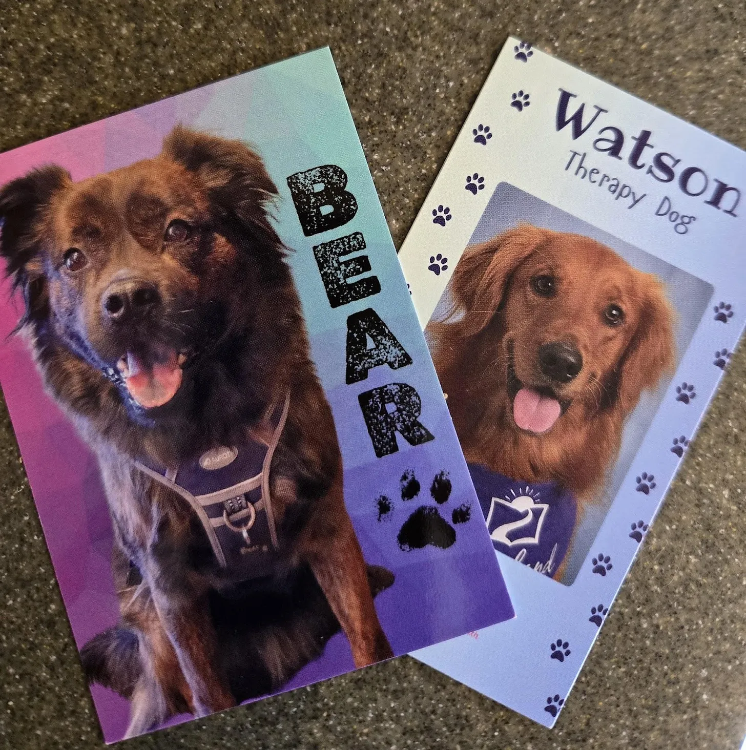 ffc92c0d-892c-4b0c-84bf-f4f7bc4f1f27_1591x1600