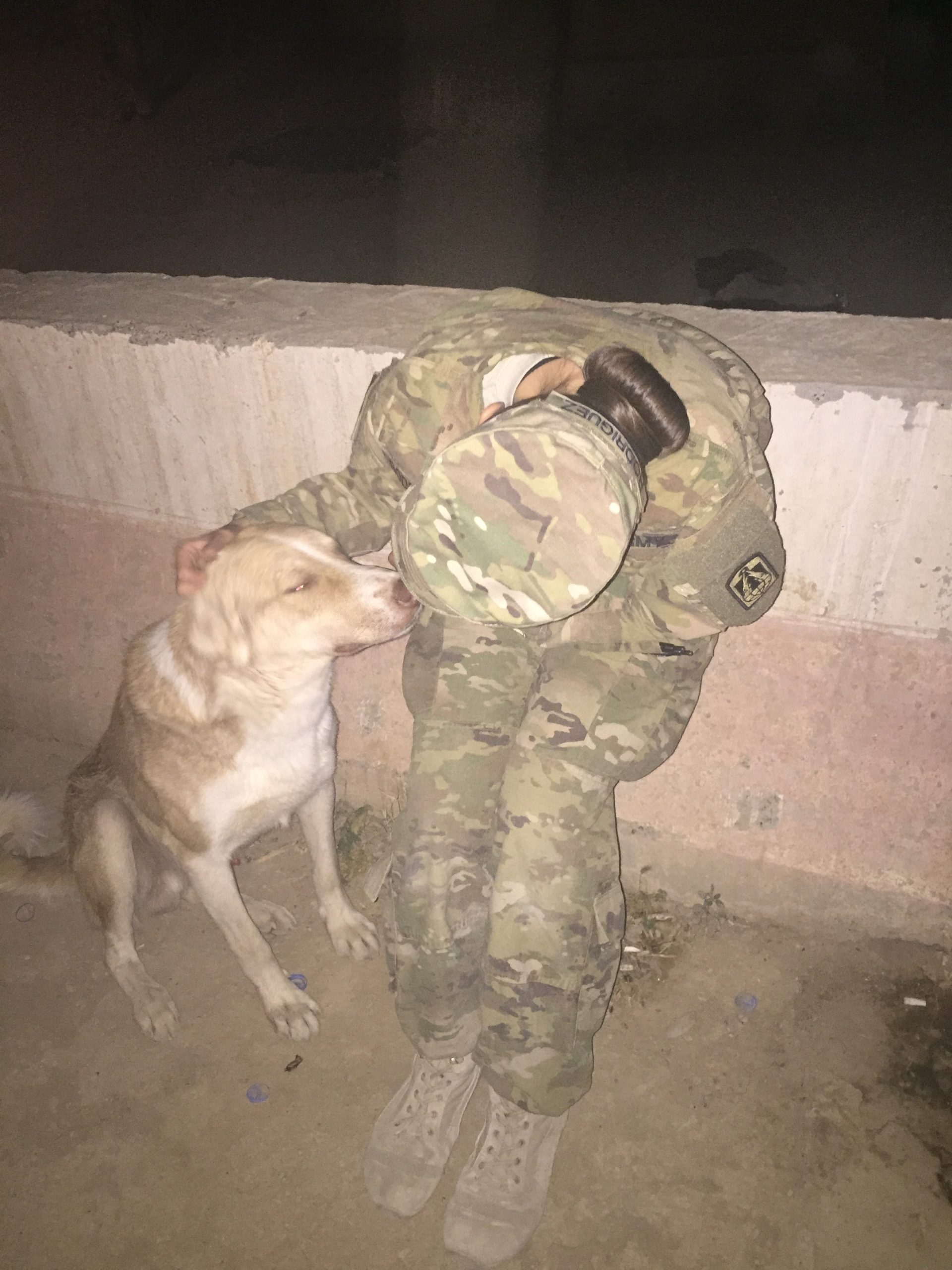 Companions_In_The_Dark