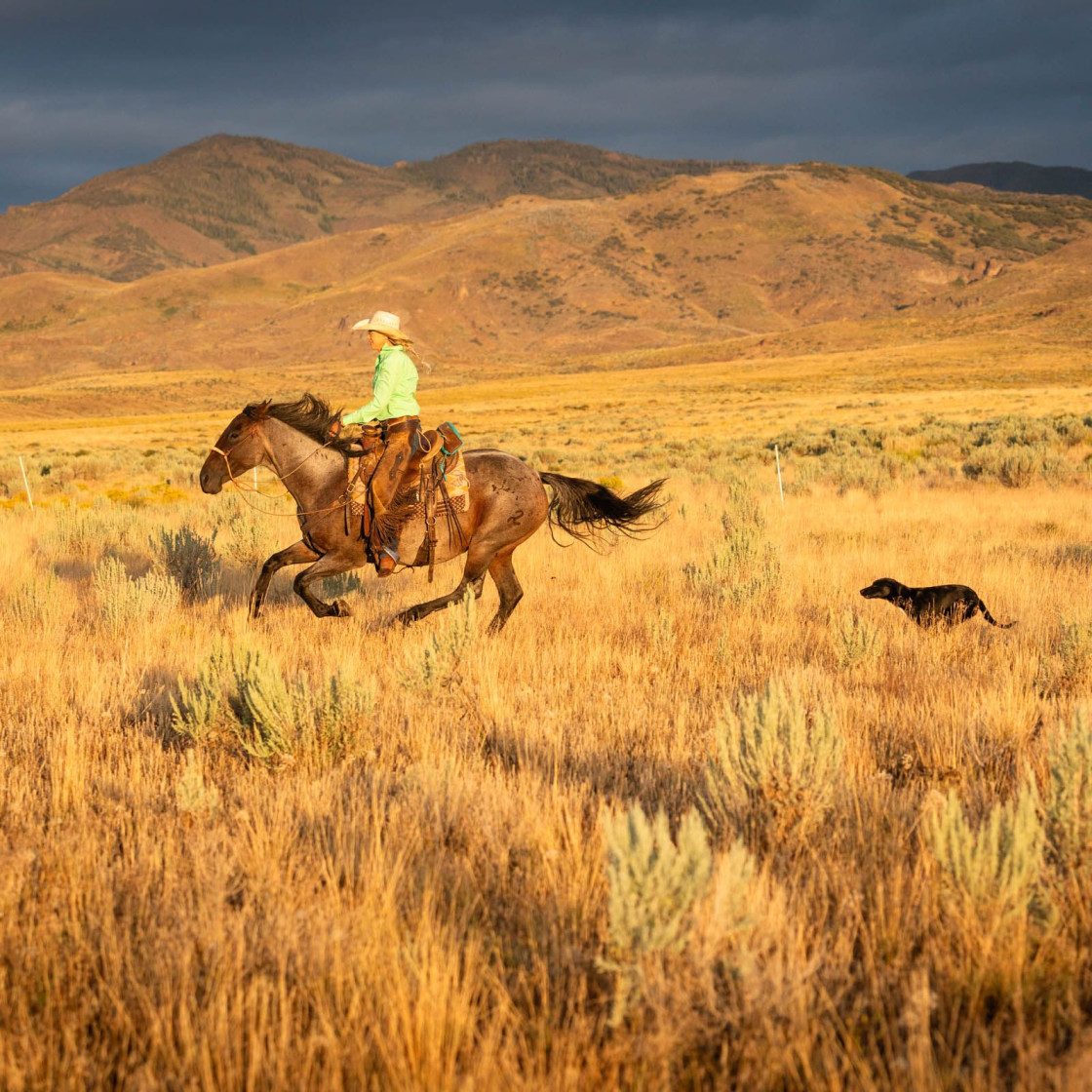Dr. Allison Broennimann